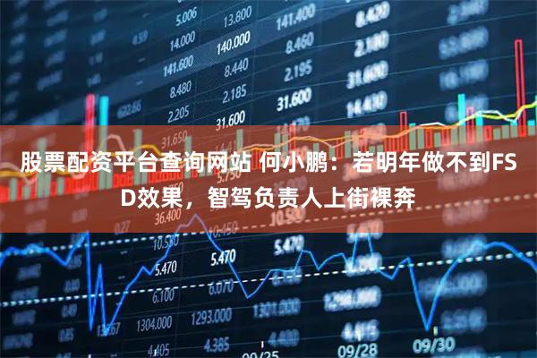 股票配资平台查询网站 何小鹏：若明年做不到FSD效果，智驾负责人上街裸奔